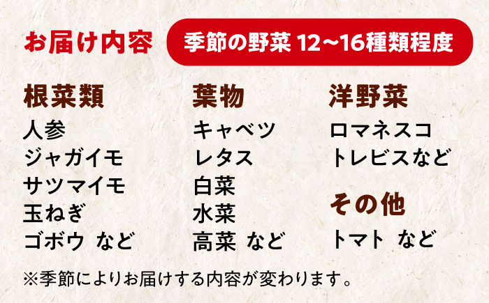 【シェフの目線】栽培期間中農薬不使用！大満足 旬のお野菜セット　愛媛県大洲市/有限会社ヒロファミリーフーズ[AGBX003]野菜 サラダ カレー 農業 トマト 料理  きゅうり 鍋 とうもろこし 果物 ミニトマト 農園 新鮮 旬の味 健康 和食 洋食 中華 産地直送 国産 安心安全 JAS認定 有機無農薬 有機栽培 減農薬栽培 有機JAS オーガニック