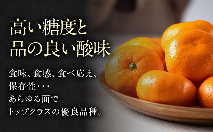 【先行予約】【12月上旬から順次発送】【期間・数量限定】愛媛みかん 南柑20号 赤秀10kg箱（100玉〜160玉） 果物 フルーツ みかん ミカン 愛媛みかん 愛媛県大洲市/愛媛たいき農業協同組合[AGAO007]
