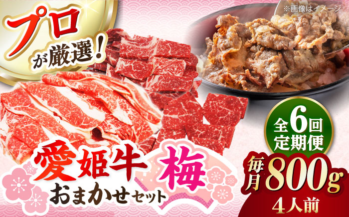 【全6回定期便】「愛姫牛」店主におまかせ旬セット【梅】800g（4人前）愛媛県大洲市/有限会社 木村屋精肉店 焼肉 焼き肉 すきやき すき焼き しゃぶしゃぶ ステーキ 赤身 牛肉 冷凍 冷凍肉 お肉 [AGCC058]