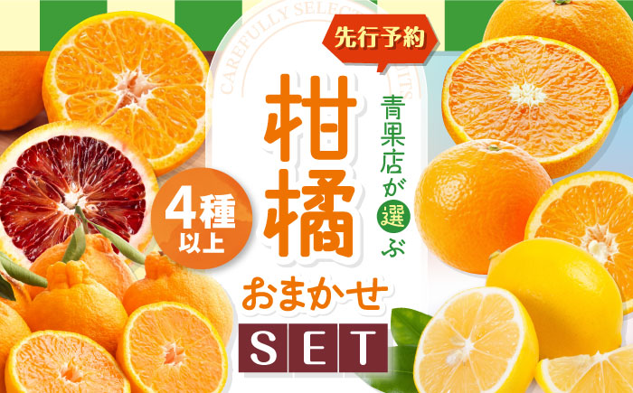 【先行予約】【3月頃発送】柑橘おまかせセット 愛媛県大洲市/沢井青果有限会社 [AGBN053]