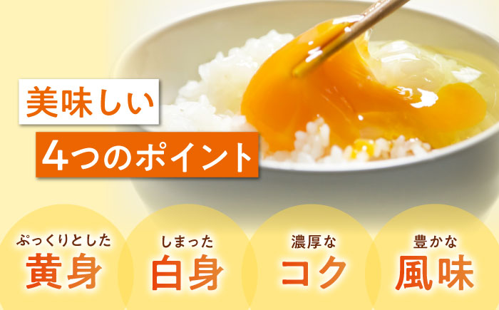 【全6回定期便】平飼い 海草たまご 10パック（100個入り）割れ保証あり 愛媛県大洲市/和田養鶏場 卵 たまご 鶏卵 卵料理 玉子 [AGDQ015]