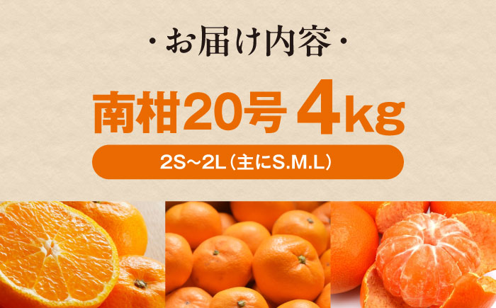 ãå
è¡äºçŽãã2026幎1æäžæ¬ããé æ¬¡çºéãããŸãããæéžãæè©°ããæž©å·ã¿ãã åæ20å· çŽ4kg æåªç倧掲åž/ã«ãŒã ã·ãã©ã¹ ã¿ãã ãã«ã³ èæ æç© ãã ãã® ãã«ãŒã