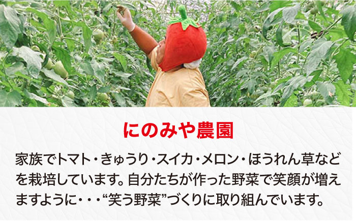 【先行予約】【4月中旬から順次発送】トマト 桃太郎ネクスト 24〜28個入り（約3.5kg〜4kg） 愛媛県大洲市/にのみや農園 トマト とまと tomato 野菜 旬野菜 春夏野菜 [AGDG007]