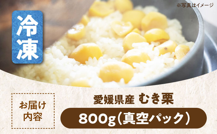 【冷凍】【先行予約】【9月上旬より順次発送】すぐに使えて手間いらず！ほくほく甘い ムキ栗800g（真空パック）　愛媛県大洲市/沢井青果有限会社 [AGBN038]くり クリ モンブラン マロン 秋の味覚 和菓子 栗ご飯 栗ごはん 栗きんとん ケーキ スイーツ クリ 手作りスイーツ素材 おやつ 材料