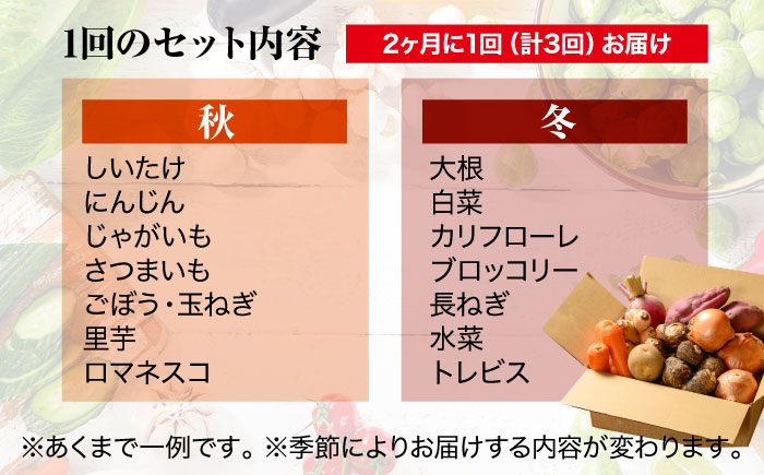 【全3回定期便】【2ヶ月に1回】栽培期間中農薬不使用！大満足 旬のお野菜セット 愛媛県大洲市/有限会社ヒロファミリーフーズ [AGBX042]