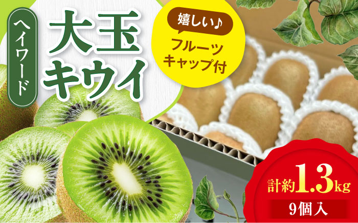 【先行予約】【11月上旬から順次発送】キウイフルーツ ヘイワード 大玉(3L〜4L玉) 約150g×9個 フルーツキャップ付き 愛媛県大洲市/西村農園 キウイ 果物 くだもの フルーツ 生産量日本一 [AGDC002]