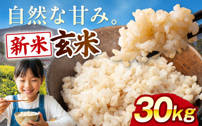 [令和8年産][新米]玄米 30kg 愛媛県大洲市/よっちゃん農園 げんまい 玄米 おこめ コメ [AGEI001]