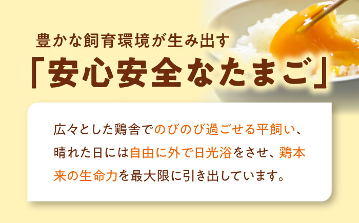 【全6回定期便】平飼い 海草たまご 10パック（100個入り）割れ保証あり 愛媛県大洲市/和田養鶏場 卵 たまご 鶏卵 卵料理 玉子 [AGDQ015]