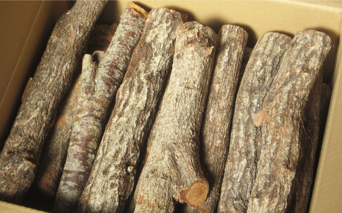 丸薪 大洲市産クヌギ・ナラ 約20kg　愛媛県大洲市/大洲市森林組合 まき 焚火 暖炉 キャンプ アウトドア [AGBK011]