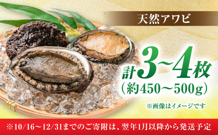 【2025年1月から順次発送】瀬戸内海の贈り物！活きたままの高級アワビ！「瀬戸内海産天然活きアワビ3から4枚セット」　愛媛県大洲市/天然活魚　濱　屋 [AGBP007]あわび bbq 鮑 鉄板焼き 海鮮 グルメ 天ぷら ぷりぷり 新鮮 魚介類 てんぷら お刺身 コリコリ食感 産地直送 料理