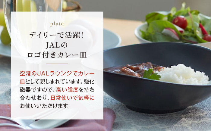 【全6回定期便】ラウンジカレー皿1枚セット＆JAL特製オリジナルビーフカレー5食セット【冷凍】 愛媛県大洲市/株式会社JALUX加工食品部 カレー カレーライス ファーストクラス サクララウンジ レトルト [AGCI009]