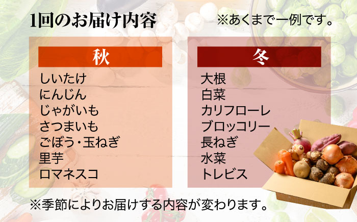 【全12回定期便】【シェフの目線】栽培期間中農薬不使用！大満足 旬のお野菜セット　愛媛県大洲市/有限会社ヒロファミリーフーズ [AGBX005]野菜 サラダ カレー 農業 トマト 料理  きゅうり 鍋 とうもろこし 果物 ミニトマト 農園 新鮮 旬の味 健康 和食 洋食 中華 産地直送 国産 安心安全 JAS認定 有機無農薬 有機栽培 減農薬栽培 有機JAS オーガニック お正月 クリスマス