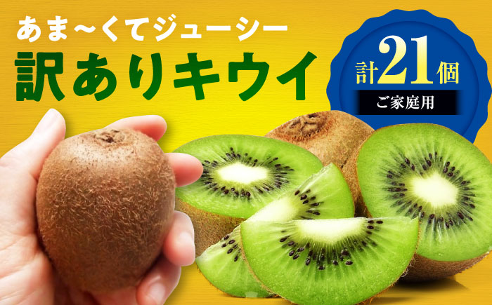 【先行予約】【11月上旬から順次発送】【ご家庭用】キウイフルーツ ヘイワード 18個 甘熟パック入り 愛媛県大洲市/西村農園 キウイ 果物 くだもの フルーツ 訳アリ [AGDC007]