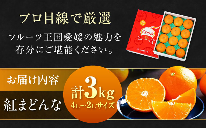  紅まどんな 4L〜2L玉サイズ 約3kg（8玉〜12玉入）【先行予約】【11月下旬から順次発送】化粧箱入 果物 フルーツ みかん ミカン まどんな 愛媛県大洲市/愛媛たいき農業協同組合[AGAO008]