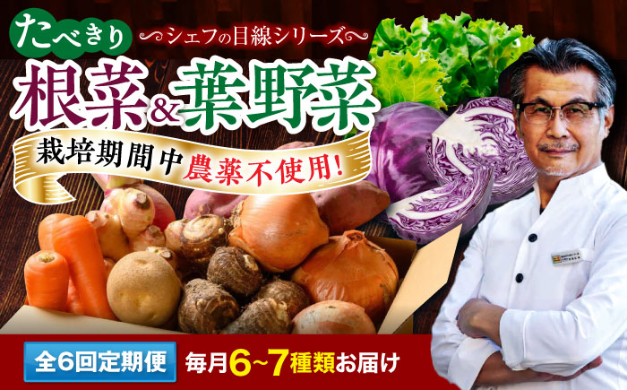 【全6回定期便】 【シェフの目線】　根菜×葉野菜 6から7種　単身・二人暮らし用セット　愛媛県大洲市/有限会社ヒロファミリーフーズ 野菜 果物 やさい 少量セット 食べきり [AGBX053]