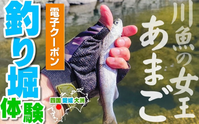 【電子クーポン】透き通る渓流の流れ あまご釣り堀体験 クーポン（お一人様分）愛媛県大洲市/株式会社ゆうとぴあ河辺 [AGDO001]