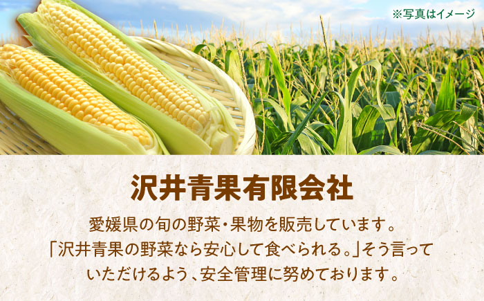 【先行予約】【6月中旬より順次発送】あま〜いスイートコーン（L〜2Lサイズ）15本入り　愛媛県大洲市/沢井青果有限会社 [AGBN007]コーン とうもろこし トウモロコシ とうきび チーズ 味噌ラーメン パスタ バター 子供 とうもろこしご飯 料理 新鮮 野菜 産地直送 お正月 クリスマス