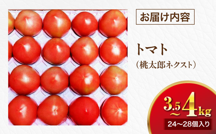 【先行予約】【4月中旬から順次発送】トマト 桃太郎ネクスト 24〜28個入り（約3.5kg〜4kg） 愛媛県大洲市/にのみや農園 トマト とまと tomato 野菜 旬野菜 春夏野菜 [AGDG007]