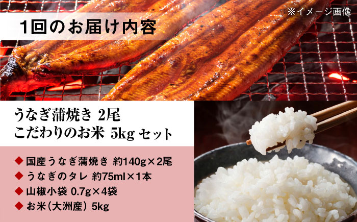 【全3回定期便】国産うなぎ！秘伝のタレで焼き上げた「うなぎ蒲焼き 2尾」と地元生産者こだわりの「お米 5kg」セット　愛媛県大洲市/有限会社 樽井旅館 [AGAH008]鰻 うな重 ひつまぶし 土用の丑の日 鰻重 ウナギ うな丼 鰻丼 うなぎ丼 お米 おにぎり 白米 ごはん ご飯 白ごはん