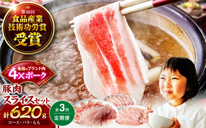 【全3回定期便】【冷凍】【4Xポーク】 豚肉 ポークスライスセット 620g （ロース150g、バラ170g、もも300ｇ）　豚肉 切り落とし 小分け 肉 ぶたにく 愛媛県大洲市/株式会社SL Creations [AGCY010]