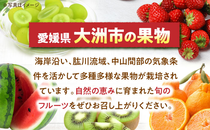 【先行予約】【2026年9月下旬から順次発送】自然な甘みと豊かな香り！愛媛県産高級和栗 大粒生栗 2kg　愛媛県大洲市/あじさい農園 [AGAE008]くり クリ モンブラン マロン 秋の味覚 和菓子 栗ご飯 栗ごはん 栗きんとん ケーキ スイーツ クリ 手作りスイーツ素材 おやつ 材料