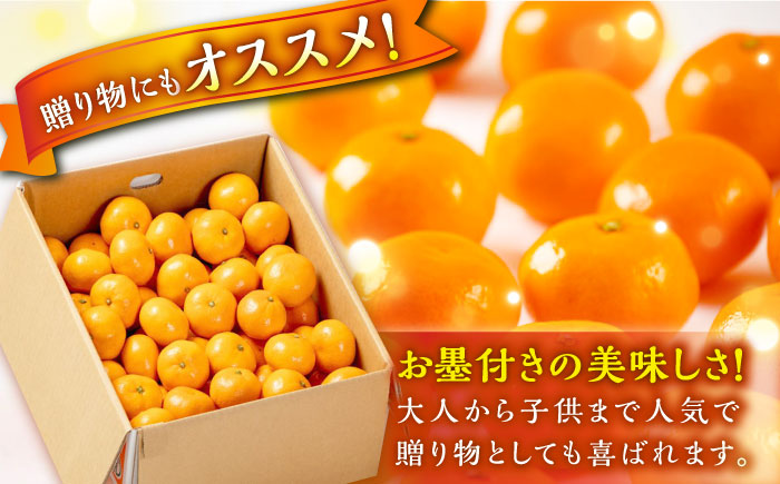 【先行予約】【11月中旬から順次発送】【期間・数量限定】愛媛県産 早生みかん 赤秀5kg箱 果物 フルーツ みかん ミカン 早生みかん 愛媛県大洲市/愛媛たいき農業協同組合[AGAO005]