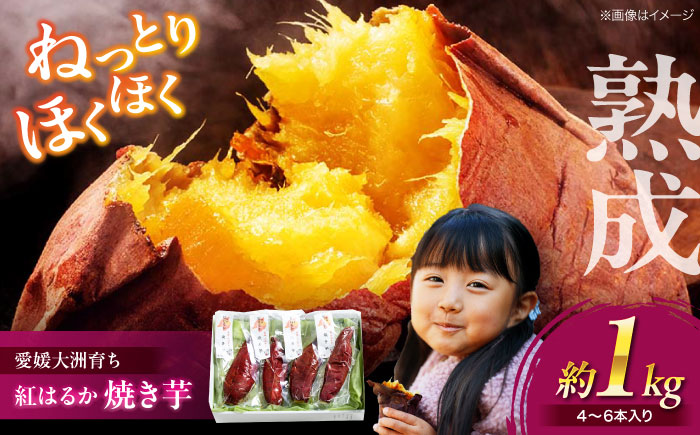 愛媛大洲育ち 熟成紅はるか焼き芋 1kg(4から6本入り) 冷やし焼き芋 さつまいも サツマイモ やき芋 冷蔵 小分け 個包装 愛媛県大洲市/(有)玉井民友商店 [AGBY007] お正月 クリスマス