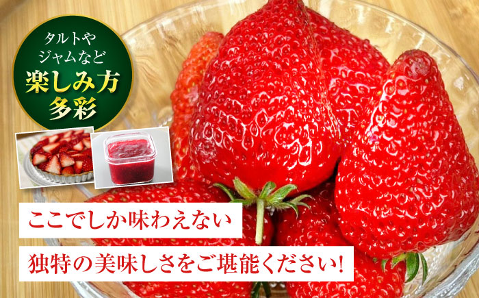 【先行予約】【2025年1月上旬から順次発送】頬が落ちる美味しさ！ 紅ほっぺ×24粒　　愛媛県大洲市/有限会社西山青果 [AGAR001]苺 イチゴ スイーツ ケーキ かき氷 いちごパフェ ストロベリー おやつ デザート フルーツサンド いちご大福 手作り 甘い 果物