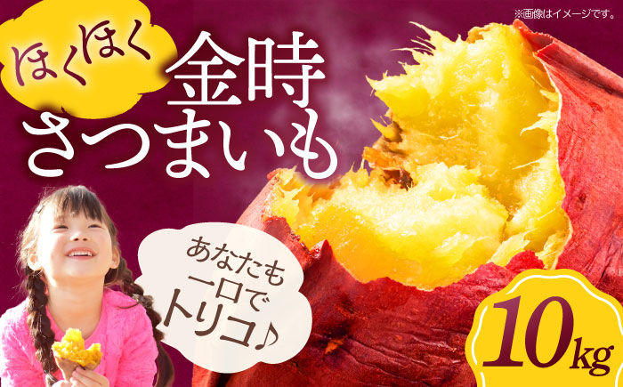 ほくほく大自然の恵み！ さつまいも（金時） 10kg サツマイモ さつま芋 野菜 やさい 焼き芋 愛媛県大洲市/愛たい菜 [AGAP013]