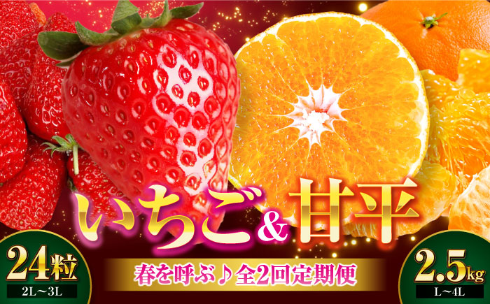 いちご・甘平 春を呼ぶ♪定期便【先行予約】【全2回定期便】 いちご(紅ほっぺ)24粒・甘平2.5kg(Lから4Lサイズ混合) | 先行予約 フルーツ定期便 果物定期便 みかん ミカン かんぺい 甘平 いちご 苺 果物 くだもの フルーツ 愛媛県産 大洲市産 産地直送 おすすめ 人気 お取り寄せ 送料無料 愛媛県大洲市/有限会社西山青果 [AGAR020]