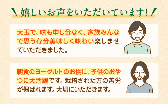 【先行予約】【2025年1月上旬より順次発送】生産量日本一！家族で毎日食べられる！甘熟キウイ　3L〜4Lサイズ（20〜24玉入）　愛媛県大洲市/沢井青果有限会社果物 [AGBN001]キウイ フルーツ かき氷果物 スムージー おやつ ジュース ヨーグルト 手作りスイーツ お菓子作り デザート