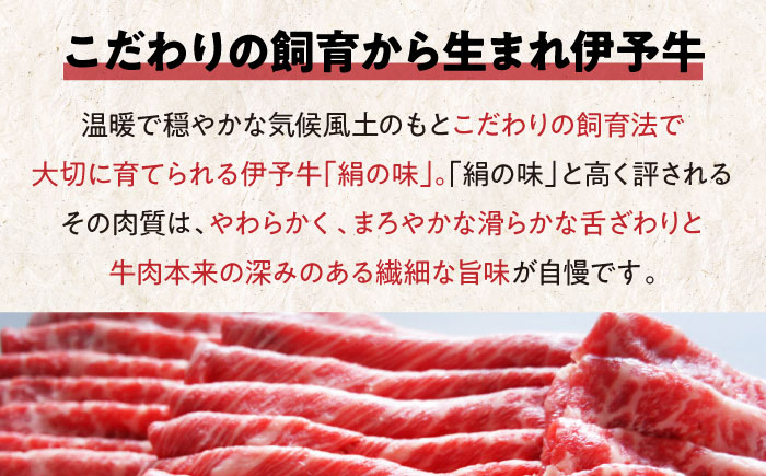 【お中元対象】【冷凍】毎月30個限定！上品な肉質と豊潤な味わい！伊予牛「絹の味」 ロース　愛媛県大洲市/JAえひめアイパックス株式会社/いよっこら [AGAB003]牛肉 ステーキ 焼肉 しゃぶしゃぶ すき焼き にく 焼き肉 煮込み 牛鍋 カレー シチュー