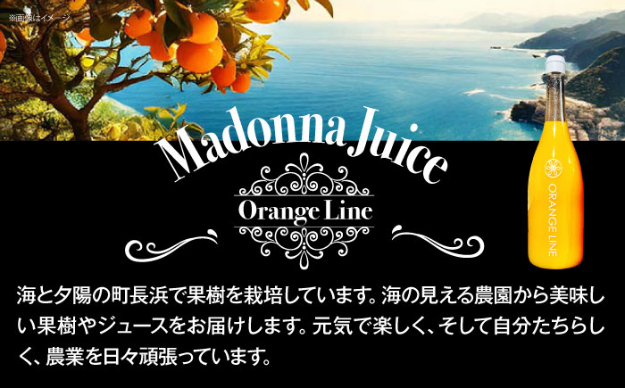 【2025年1月中旬から順次発送】まどんなジュース　2本　愛媛県大洲市/ORANGE LINE 果物 みかんジュース デザート 果汁100％ ストレートジュース オレンジジュース [AGCT002]