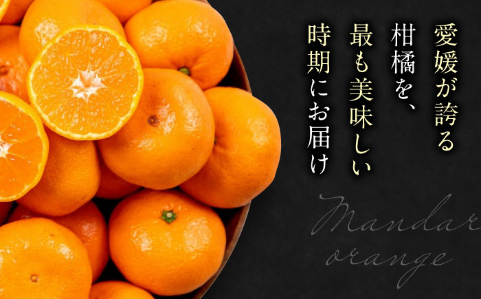 【先行予約】【12月上旬から順次発送】【期間・数量限定】愛媛みかん 南柑20号 赤秀10kg箱（100玉〜160玉） 果物 フルーツ みかん ミカン 愛媛みかん 愛媛県大洲市/愛媛たいき農業協同組合[AGAO007]