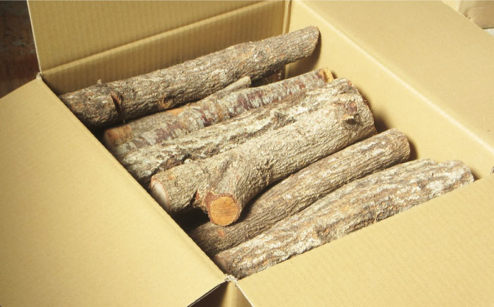 丸薪 大洲市産クヌギ・ナラ 約20kg　愛媛県大洲市/大洲市森林組合 まき 焚火 暖炉 キャンプ アウトドア [AGBK011]