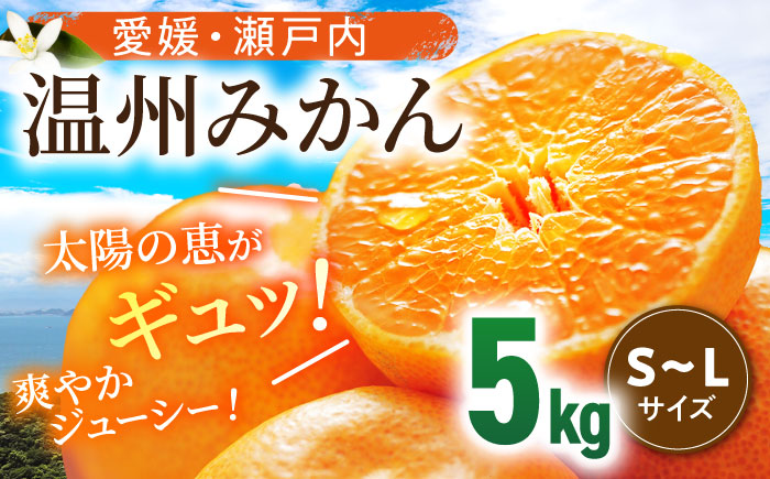 【先行予約】【11月中旬より順次発送】瀬戸内のめぐみたっぷり！温州みかん（S~Lサイズ）5kg　愛媛県大洲市/沢井青果有限会社 [AGBN047] お正月 クリスマス