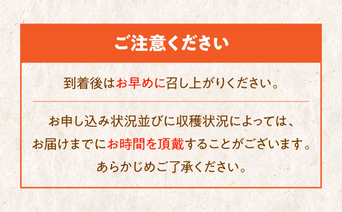 【先行予約】【11月初旬より順次発送】愛媛県産 富有（ふゆう）柿　Mから2Lサイズ 約5kg 箱入（15〜24玉）　愛媛県大洲市/沢井青果有限会社 [AGBN023]秋 フルーツ 果物 柿ジャム かき 柿レシピ デザート スイーツ 新鮮 くだもの