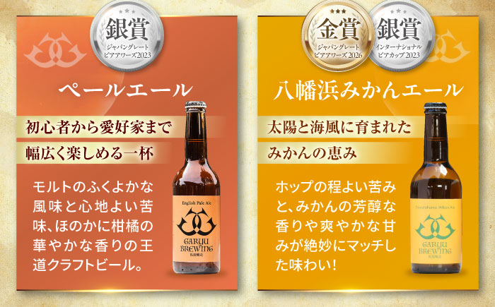 クラフトビール【全12回定期便】飲み比べ6種セット 計6本　愛媛県大洲市/株式会社　アライ [AGAY068]