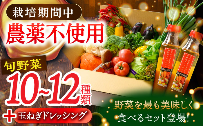 【シェフの目線】栽培期間中農薬不使用！旬のお野菜セット×手作り玉ねぎドレッシング（2本）　愛媛県大洲市/有限会社ヒロファミリーフーズ [AGBX002]野菜 サラダ カレー 農業 トマト 料理 きゅうり 鍋 とうもろこし 果物 ミニトマト 健康 和食 洋食 中華 産地直送 国産 安心安全