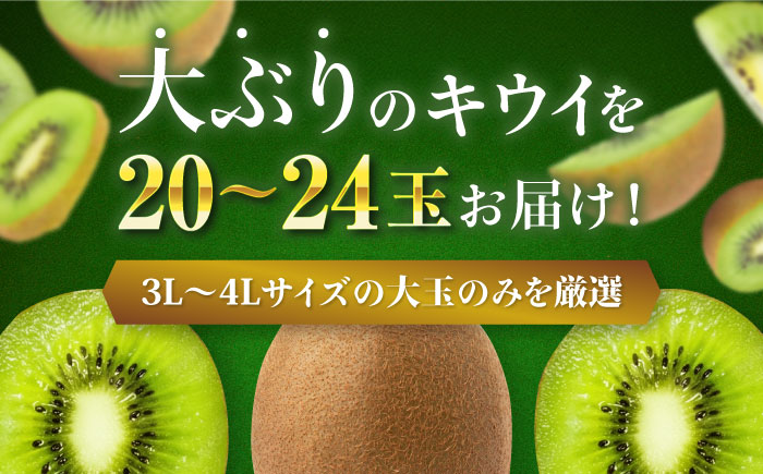 【先行予約】【1月上旬より順次発送】生産量日本一！家族で毎日食べられる！甘熟キウイ　3L〜4Lサイズ（20〜24玉入）　愛媛県大洲市/沢井青果有限会社果物 [AGBN001]キウイ フルーツ かき氷果物 スムージー おやつ ジュース ヨーグルト 手作りスイーツ お菓子作り デザート