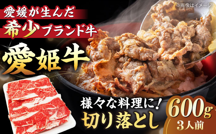 【冷凍】切り落としだから使いやすい！国産ブランド牛！愛姫牛切り落とし 600g （3人前）牛肉 ステーキ 国産 お肉 焼肉 切り落とし 送料無料 お取り寄せ 愛媛県大洲市/有限会社 木村屋精肉店 [AGCC029]