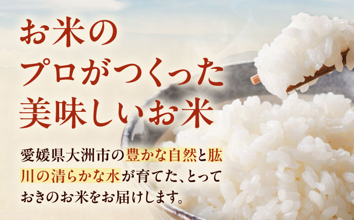 お米 ヒノヒカリ 3kg（3kg×1袋）米・食味鑑定士×お米ソムリエ×白米ソムリエ お米 おこめ 白米 ごはん 愛媛県産お米 大洲市/稲工房案山子 [AGAV025]