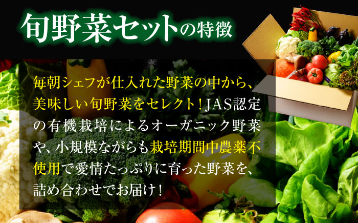 【全3回定期便】 【シェフの目線】　野菜 6から7種　単身・二人暮らし用セット　愛媛県大洲市/有限会社ヒロファミリーフーズ 野菜 やさい 少量セット 食べきり [AGBX044]
