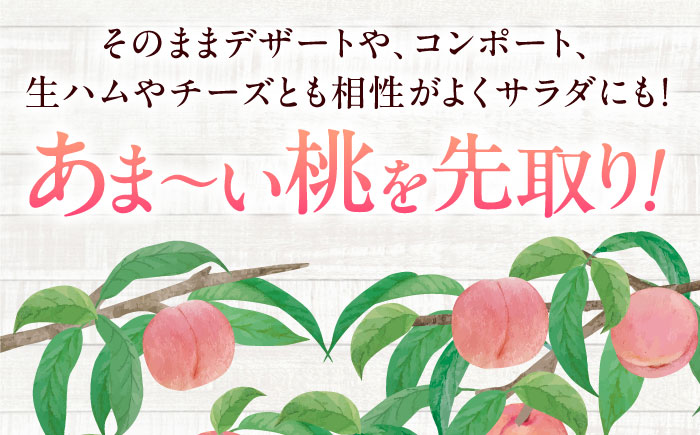 【先行予約】【7月中旬から順次発送】桃果樹園からの恵み！あまい香りとあふれる果汁！厳選の桃9〜13玉入り 愛媛県大洲市/幸野観光なし園［AGBD006］