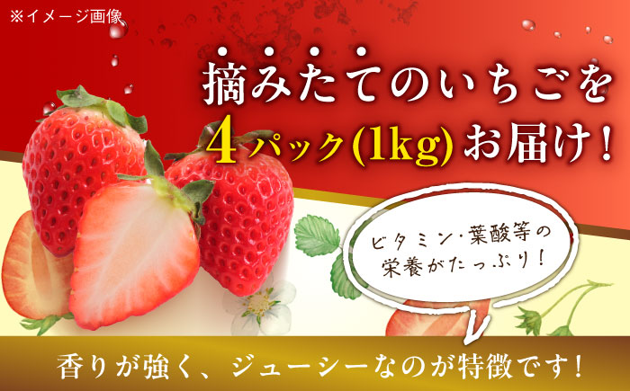 【先行予約】【2025年1月初旬より順次発送】ほっぺが落ちるおいしさ！大粒の紅ほっぺ約270ｇ×４パック（約1000ｇ）愛媛県大洲市/沢井青果有限会社 [AGBN026]