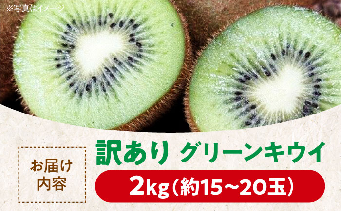 【訳あり】栄養たっぷり！愛媛のグリーンキウイ 2kg （約15玉から20玉） グリーンキウイ キウイ キウイフルーツ フルーツ ヘイワード 果物 くだもの 愛媛県大洲市/玉川農園 [AGBC011]