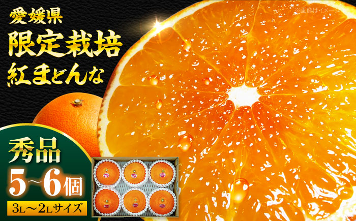 【先行予約】【11月下旬から順次発送】 紅まどんな 秀品 5から6個入（JA愛媛たいき管内産）紅まどんな みかん ミカン 紅マドンナ フルーツ 果物 くだもの 愛媛県大洲市/株式会社フジ・アグリフーズ［AGBA003］
