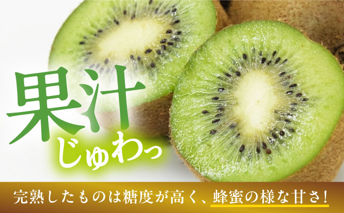 訳アリ キウイフルーツ 約2kg　愛媛県大洲市/沢井青果有限会社 訳アリ 訳あり ご家庭用　 [AGBN051]