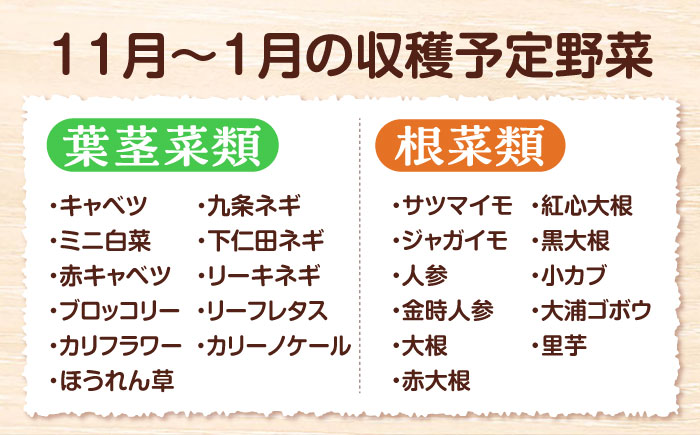 寒い冬の温かな料理に！かとう旬菜畑から直送 冬野菜おまかせ便10種 冬野菜 旬 新鮮 鍋 おうちごはん 愛媛県大洲市/かとう旬菜畑 [AGCW001]