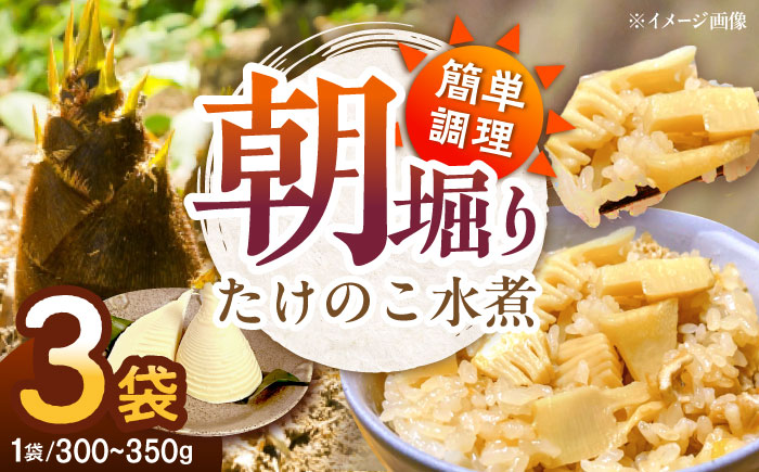 朝堀りたけのこの水煮（1袋300から350g）3袋セット　愛媛県大洲市/沢井青果有限会社 [AGBN011]筍 タケノコ 竹の子 春 筍ご飯 たけのこご飯 煮物 旬の食材 山菜 筍ごはん メンマ 和食 料理 天ぷら 夕飯  炊き込みご飯 カレー 晩ごはん お正月 クリスマス